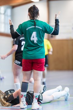 Bild 239 - F HSG Kre/Mue - HFF Munkbrarup : Ergebnis: 49:20